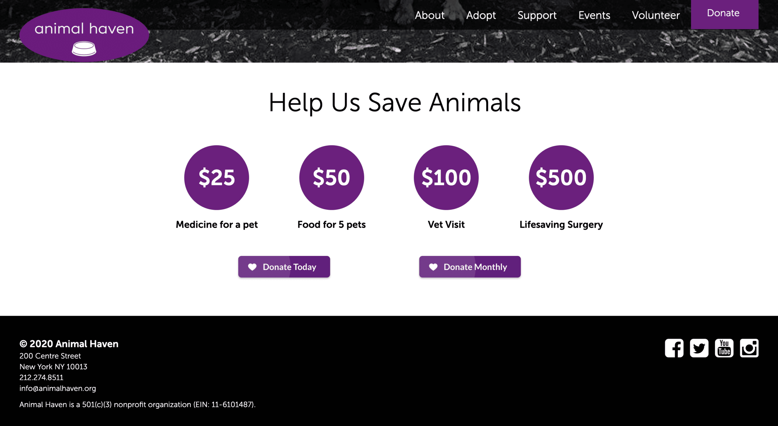 several donation options on nonprofit homepage