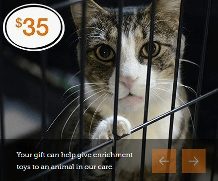 This image shows the ASPCA donation page with a suggested donation amount of $35 dollars highlighted. There is a photo of a cat in a crate along with the words “Your gift can help give enrichment toys to an animal in our care.” 