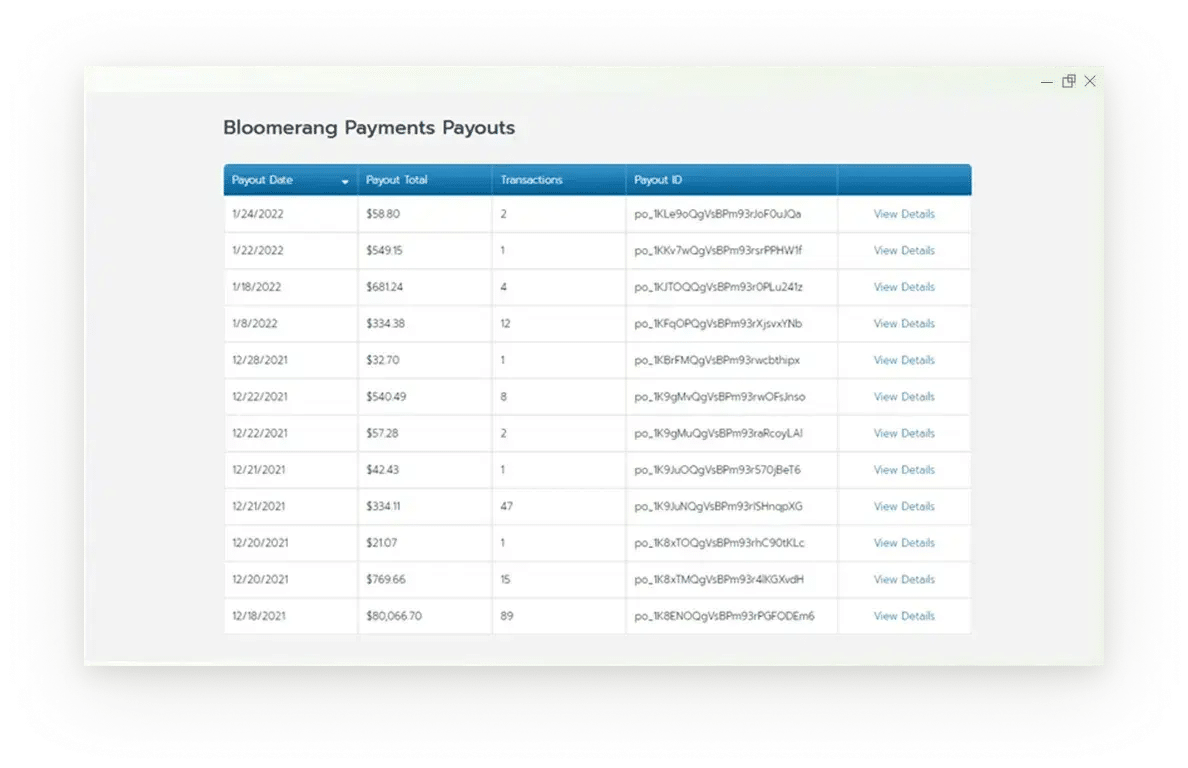 Example of Bloomerang’s payment payouts