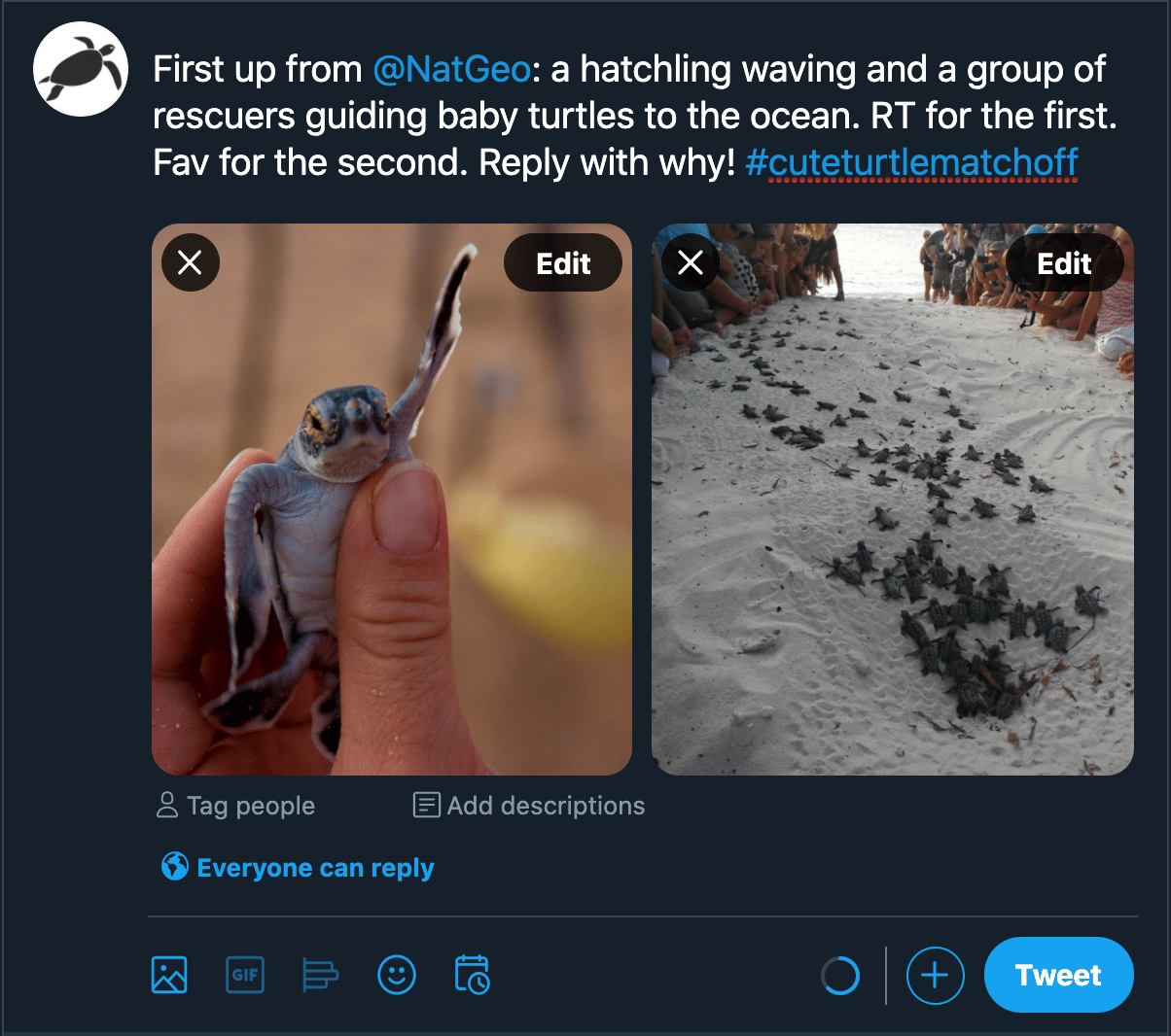 tweet example with images